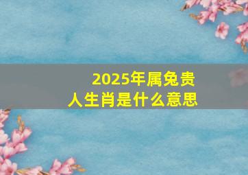 2025年属兔贵人生肖是什么意思