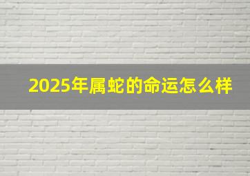 2025年属蛇的命运怎么样