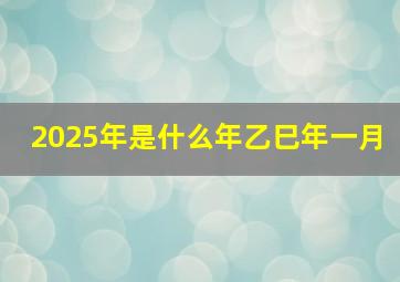 2025年是什么年乙巳年一月