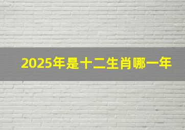 2025年是十二生肖哪一年