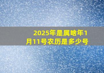 2025年是属啥年1月11号农历是多少号