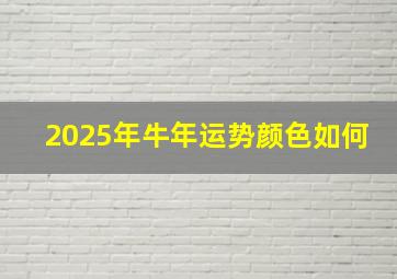 2025年牛年运势颜色如何