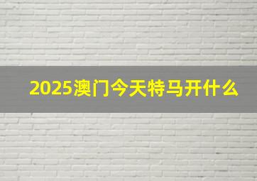 2025澳门今天特马开什么