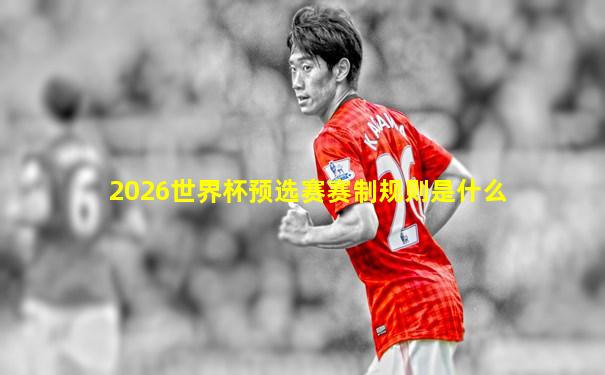 2026世界杯预选赛赛制规则是什么