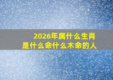 2026年属什么生肖是什么命什么木命的人