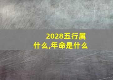 2028五行属什么,年命是什么