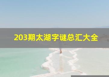 203期太湖字谜总汇大全