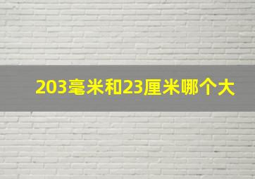 203毫米和23厘米哪个大