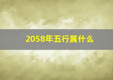 2058年五行属什么