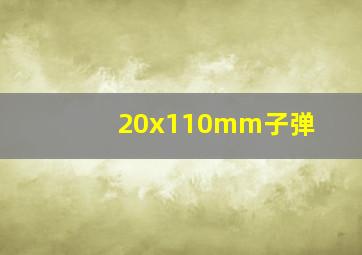 20x110mm子弹