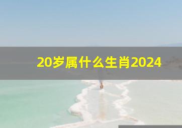 20岁属什么生肖2024