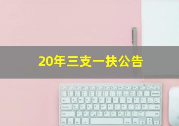 20年三支一扶公告