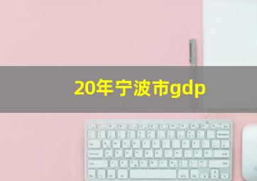 20年宁波市gdp