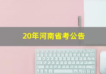 20年河南省考公告