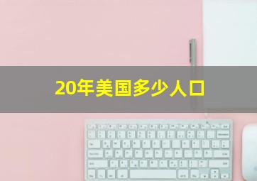 20年美国多少人口