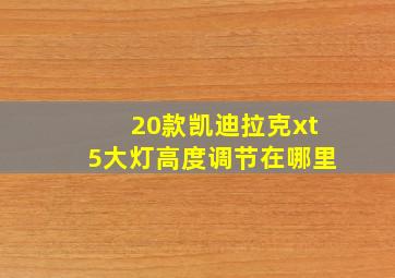 20款凯迪拉克xt5大灯高度调节在哪里