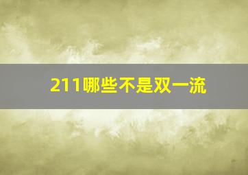 211哪些不是双一流