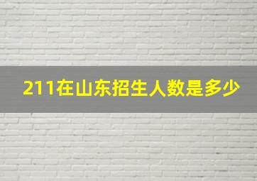 211在山东招生人数是多少