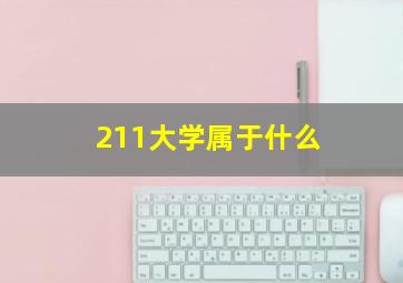 211大学属于什么