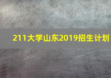 211大学山东2019招生计划