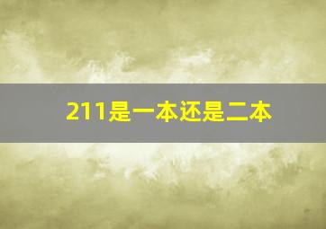 211是一本还是二本