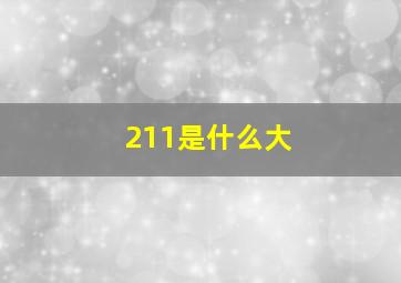 211是什么大