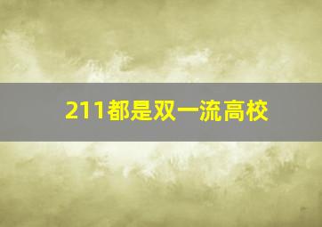 211都是双一流高校