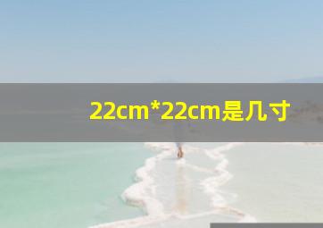 22cm*22cm是几寸