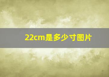 22cm是多少寸图片