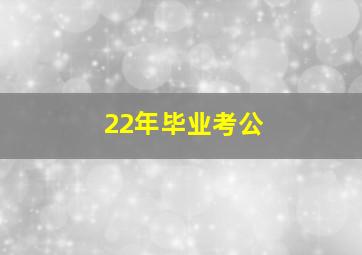 22年毕业考公