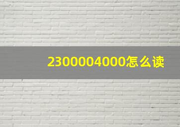 2300004000怎么读