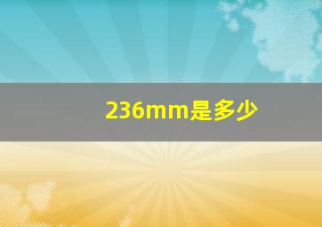 236mm是多少