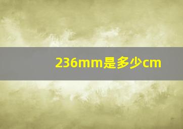 236mm是多少cm