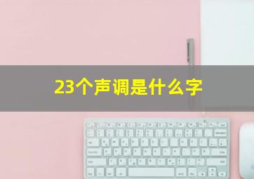 23个声调是什么字