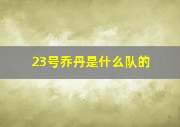 23号乔丹是什么队的