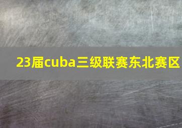 23届cuba三级联赛东北赛区