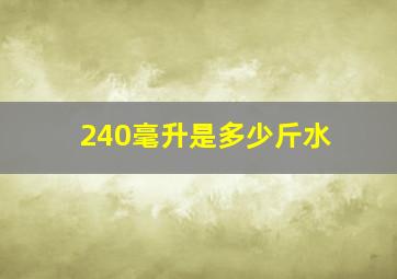 240毫升是多少斤水