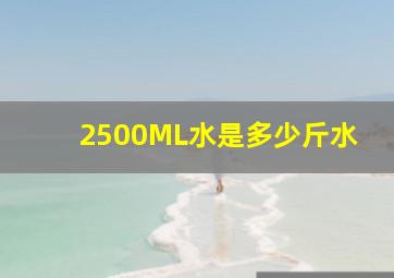 2500ML水是多少斤水