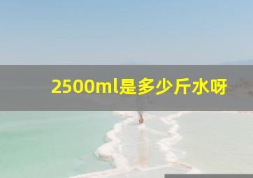 2500ml是多少斤水呀