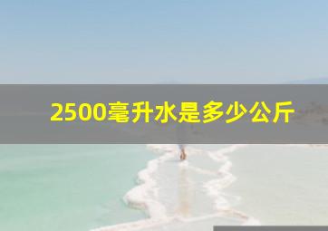 2500毫升水是多少公斤