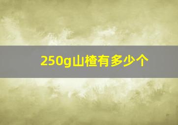 250g山楂有多少个