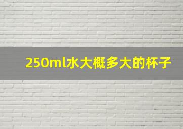 250ml水大概多大的杯子