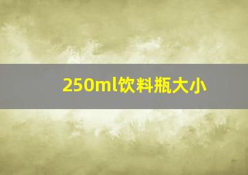 250ml饮料瓶大小