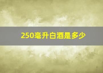 250毫升白酒是多少