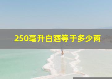 250毫升白酒等于多少两