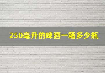 250毫升的啤酒一箱多少瓶