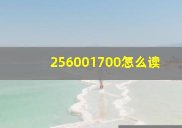 256001700怎么读