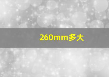 260mm多大