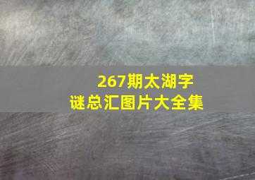 267期太湖字谜总汇图片大全集