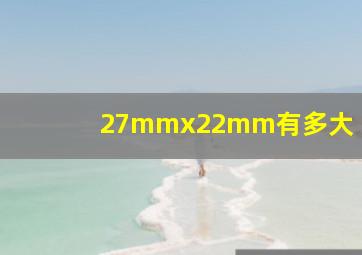 27mmx22mm有多大